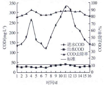 標(biāo)定階段COD 處理效果.jpg